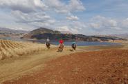 Peru Horse Riding