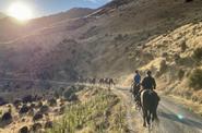 Horse riding in the nature
