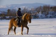 Sweden Riding
