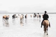 Iceland Riding