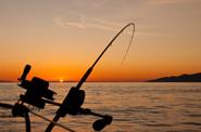 Fishing rod 