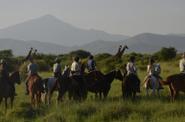 Tanzania Horse Safari