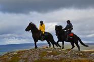 Sweden Horse Riding