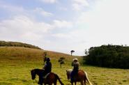 Costa Rica Riding