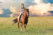 Riding Icelandic horse