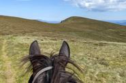 During the ride 