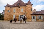 D’Artagnan European Road