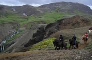 Iceland Horse Riding