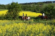 Riding in Germany