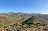 Local views 
