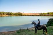 Horse at the lake