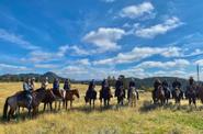 Equestrians in a field 