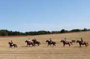 Poland Horseriding
