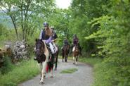Montenegro Horse Riding