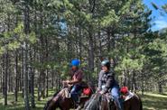 Serbia Horse Riding