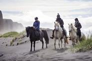 Iceland Horseriding