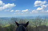 Serbia Horse Riding