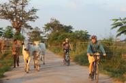 Cambodia Cycling