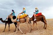 Camel ride 