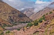 Local landscape 