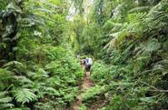 On the trek 