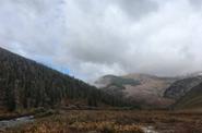 Local valley 