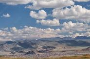 Local landscape 