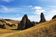 Local landscape 