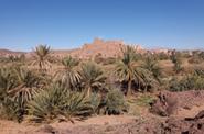 Local landscapes