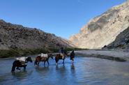 Chile Trekking
