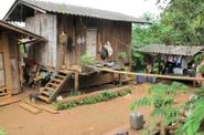 Local homestay 
