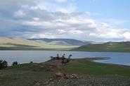 Local landscape 