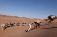 On the trek 