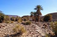 Local landscapes 