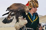 Eagle hunter 
