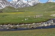 Shiveet mountain
