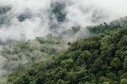 Local landscape 