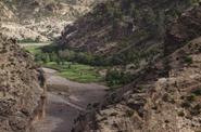 Local landscape 