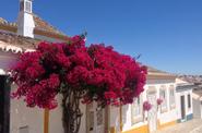 Portugal Travel
