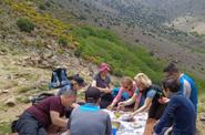 Picnic 