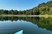 Canoe 