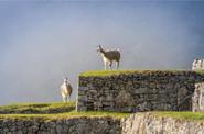 Peru Trekking