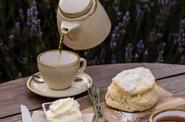 Lavender Bay Farm