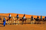 Camel ride 