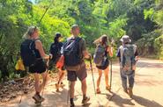 On the trek