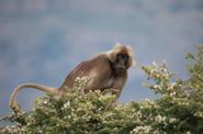 Ethiopia Trekking 