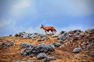 Ethiopia Trekking 