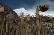 Ecuador Trekking