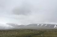 Local steppe 