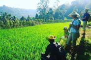 Rice terrace 